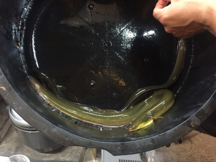 画像に alt 属性が指定されていません。ファイル名: original3-248.jpg